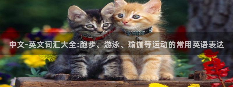 JJB竞技宝官网下载平台注册：中文-英文词汇大全:跑