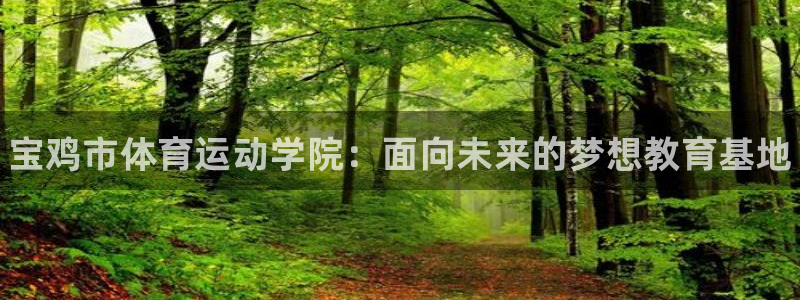 JJB竞技宝官网下载平台是正规平台吗：宝鸡市体育运动
