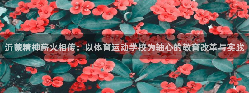 JJB竞技宝官网下载招商电话号码查询：沂蒙精神薪火相
