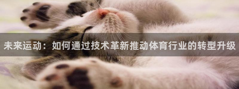德国JJB竞技宝官方正版app集团：未来运动：如何通过技术革