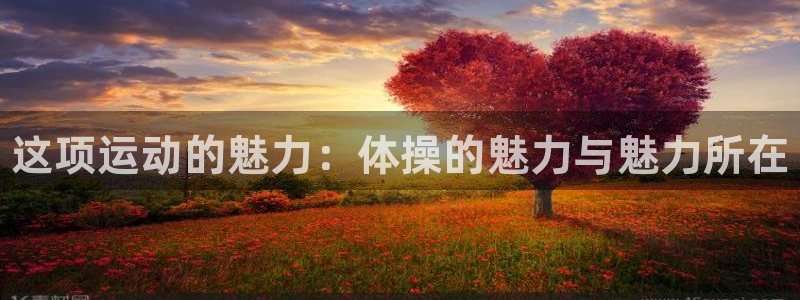 JJB竞技宝官网下载是干嘛的公司：这项运动的魅力：体