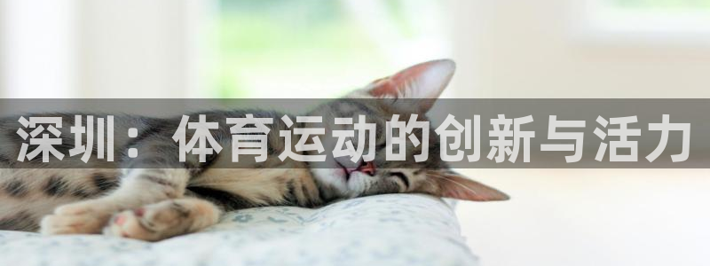 JJB竞技宝官方正版app新能源：深圳：体育运动的创新与活力