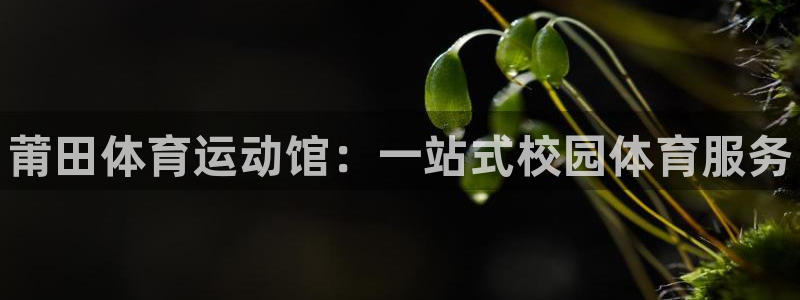 JJB竞技宝官网下载招商电话号码是多少啊：莆田体育运动馆：一