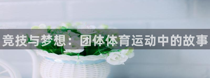 JJB竞技宝官方正版app五金厂