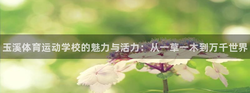 JJB竞技宝官网下载招商电话地址：玉溪体育运动学校的魅力与活