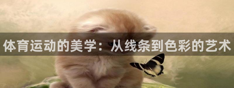 JJB竞技宝官方正版app集团官网网址：体育运动的美学：从线
