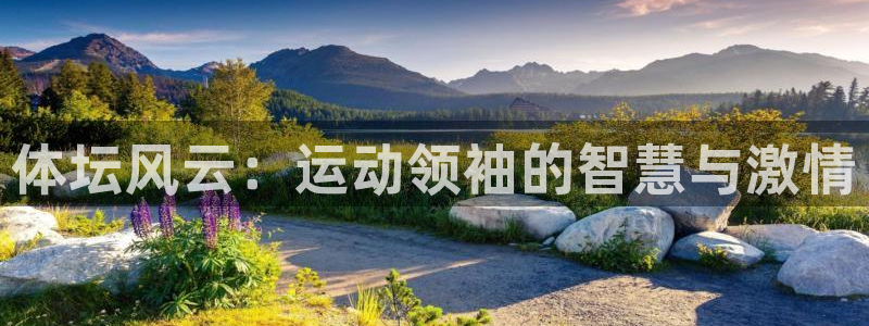 JJB竞技宝官网下载招商电话是多少：体坛风云：运动领袖的智慧