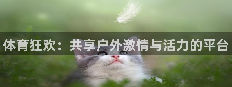 JJB竞技宝官网下载平台假的吗是真的吗吗