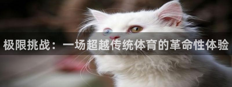 JJB竞技宝官网下载：极限挑战：一场超越传统体育的革命性体验