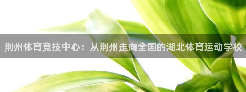 JJB竞技宝官网下载招商电话是多少
