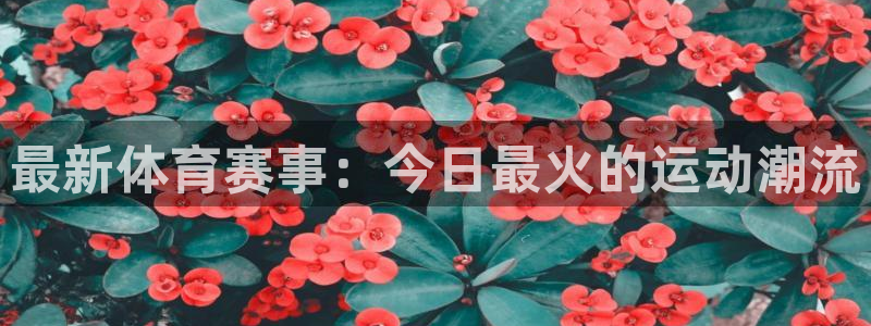 JJB竞技宝官方正版app神州