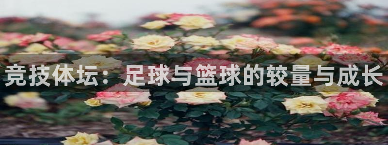 JJB竞技宝官方正版app官网：竞技体坛：足球与篮球的较量与