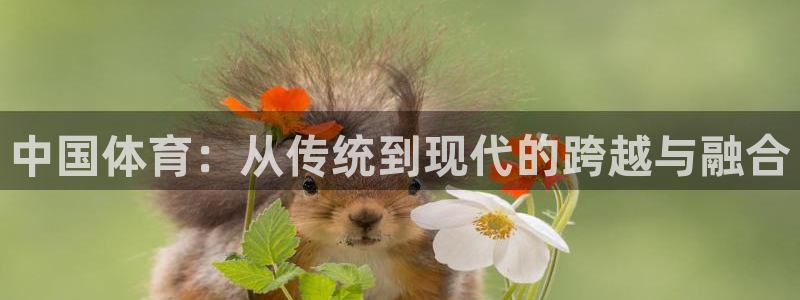 JJB竞技宝官网下载招商电话是多少啊：中国体育：从传统到现代