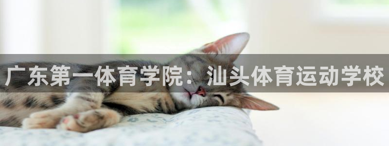 JJB竞技宝官方正版app集团logo：广东第一体育