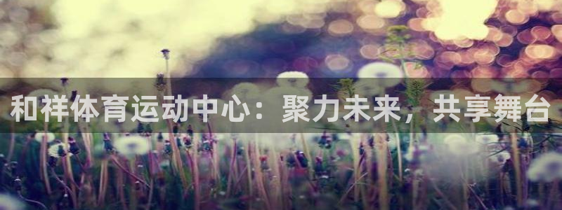 JJB竞技宝官方正版app集团：和祥体育运动中心：聚力未来，